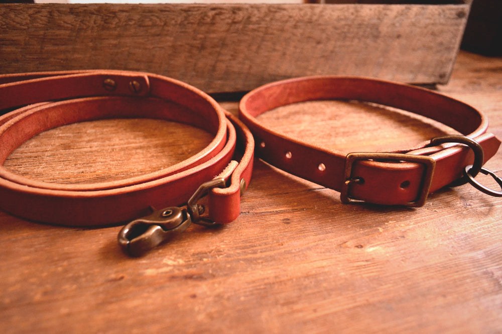 Dog Collar - Chestnut